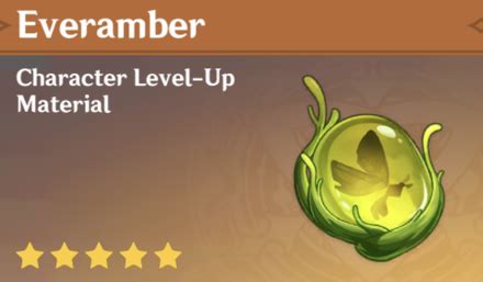 everamber|Everamber